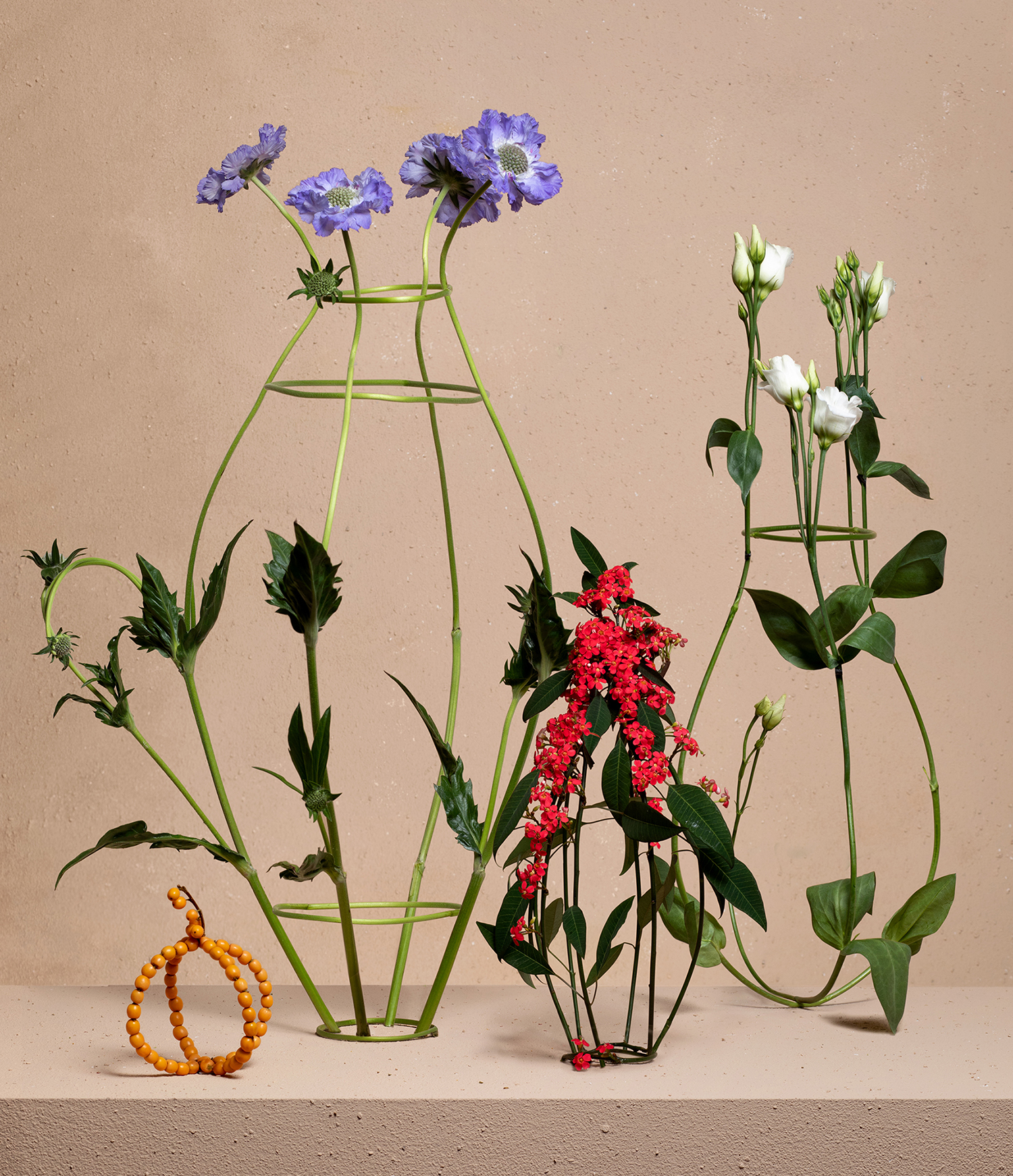 Organic Vases