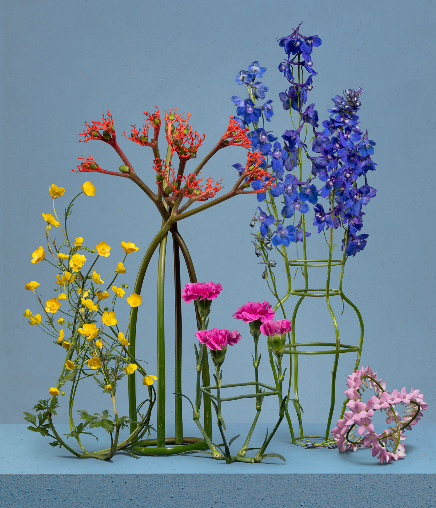 Organic Vases
